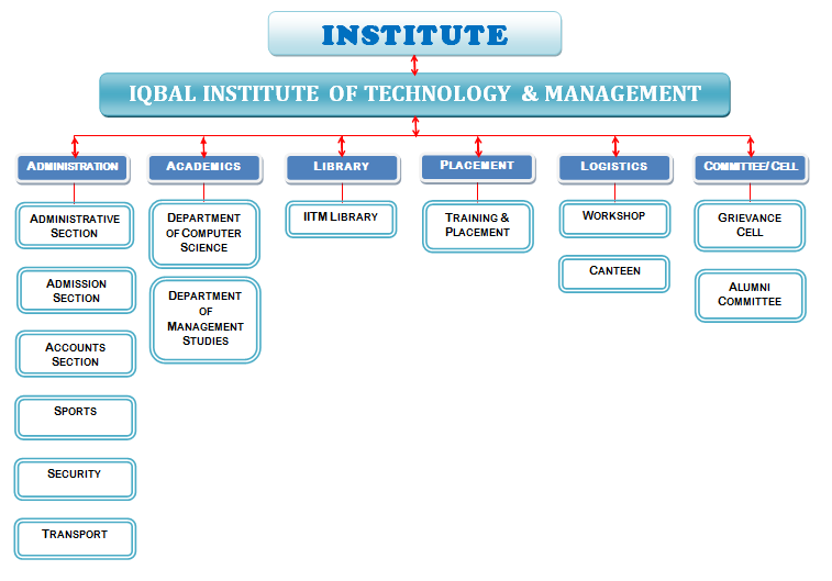 orginiaztion chart